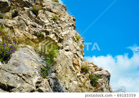 rock with flowers against the blue sky rock with flowers against the blue sky 69183359