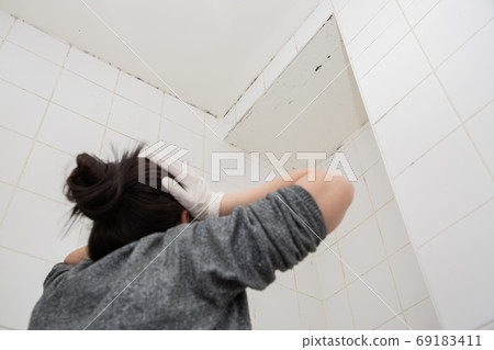 Mold or fungus of the wall in the Shower room  69183411