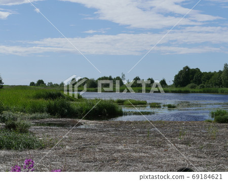 swampy lake shore summer 69184621