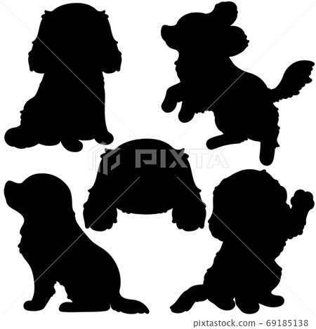 騎士國王查爾斯獵犬剪影集 69185138