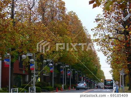 Uminoki Street, Tamaplaza, Utsukushigaoka, Aoba-ku, Yokohama-shi Uminoki Street, Tamaplaza, Utsukushigaoka, Aoba-ku, Yokohama-shi 69185409