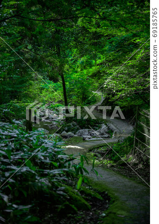 Mountain road Mountain road 69185765