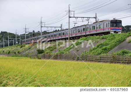 Keisei Electric Railway 3700 running on the embankment of a grown rice field Keisei Electric Railway 3700 running on the embankment of a grown rice field 69187960