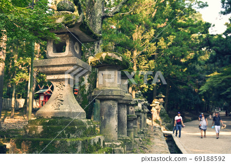 Nara · Kasuga Taisha Nara · Kasuga Taisha 69188592
