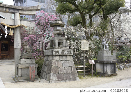 Minister部長神社，八重紅哭泣的李子和Hiume（白梅） 69188628