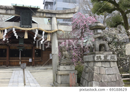 Minister部長神社，八重紅哭泣的李子和Hiume（白梅） 69188629