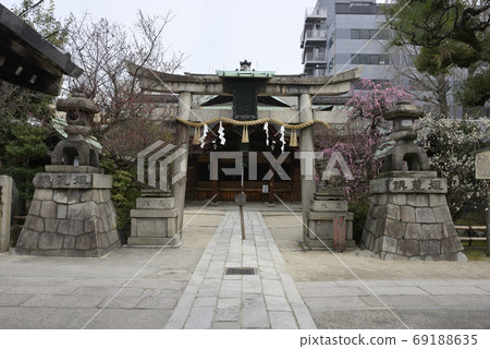 Minister部長神社，八重紅哭泣的李子和Hiume（白梅） 69188635