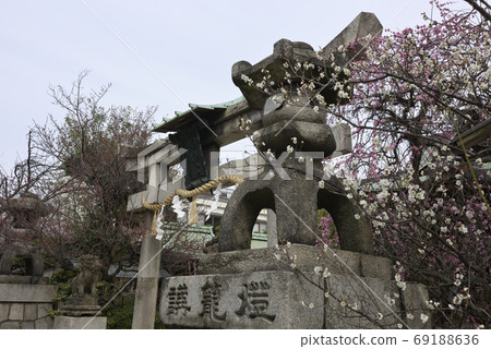 Minister部長神社，八重紅哭泣的李子和Hiume（白梅） 69188636
