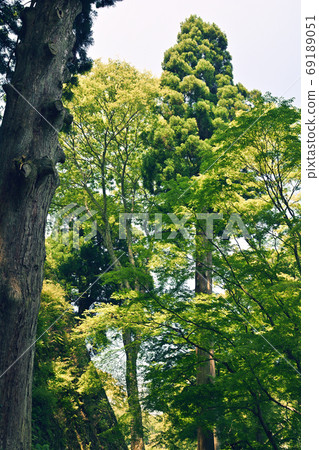 Japan 100 Great castle · Takajyo 69189051