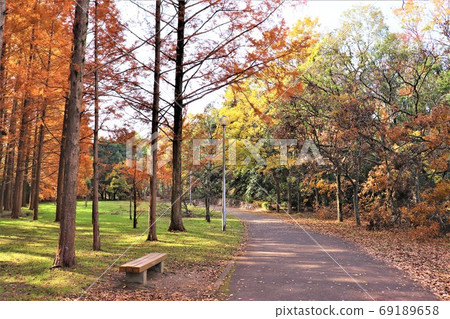 坂井市的新孝台和新孝台公園的新風景 坂井市的新孝台和新孝台公園的新風景 69189658
