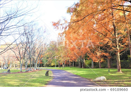 坂井市的新孝台和新孝台公園的新風景 坂井市的新孝台和新孝台公園的新風景 69189660