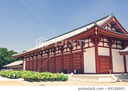 Nara · Yakushiji 69189991