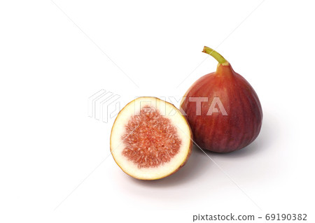 Fig (Dauphin) 69190382