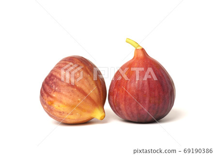 Fig (Dauphin) 69190386