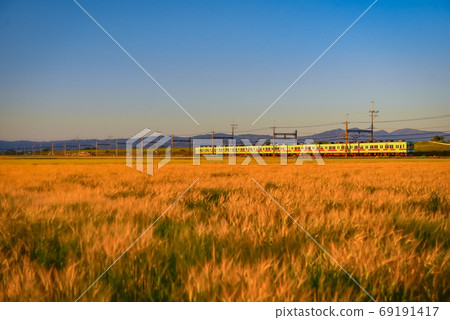 淺棕色築後 淺棕色築後 69191417