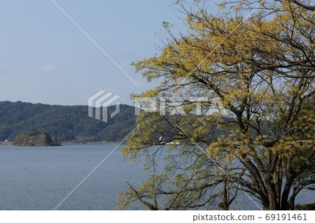 鳥取四季遊秋青島 69191461