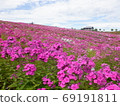 Phlox Park, Abashiri City, Hokkaido 69191811