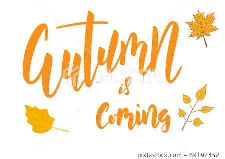 Autumn is coming brush hand lettering text isolated 69192352