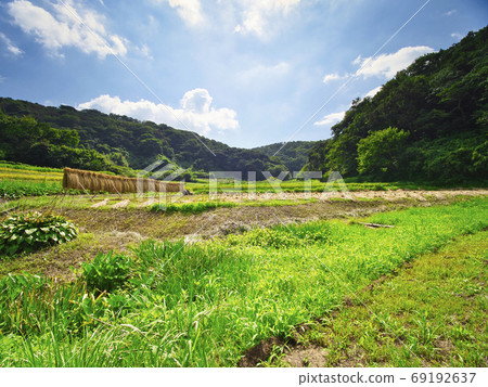 Scenery around Mifune no Sato Information Center Scenery around Mifune no Sato Information Center 69192637