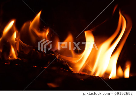 Fire flames on a black background 69192692