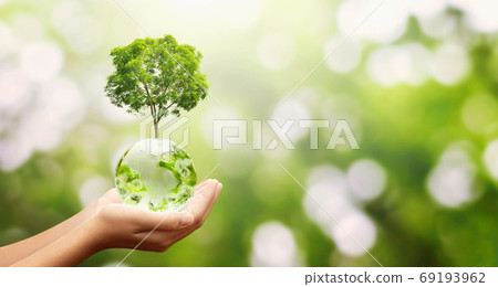 hand holding glass globe ball with tree growing and green nature 69193962