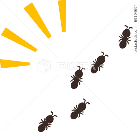 Small black ants line up 69194694