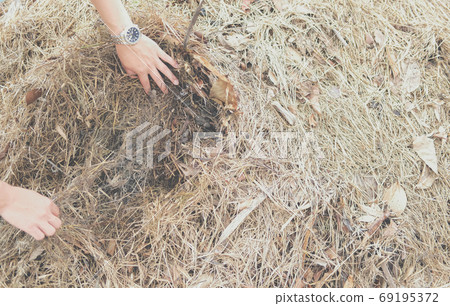 organic compost heap. fertilizer production for soil cultivation organic compost heap. fertilizer production for soil cultivation 69195372