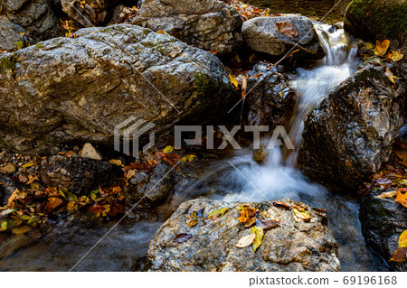 秋天的葉子，黃色的葉子，天空中的藍色，天空中的楓 69196168