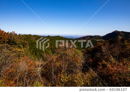 秋天的葉子，黃色的葉子，天空中的藍色，天空中的楓 69196187