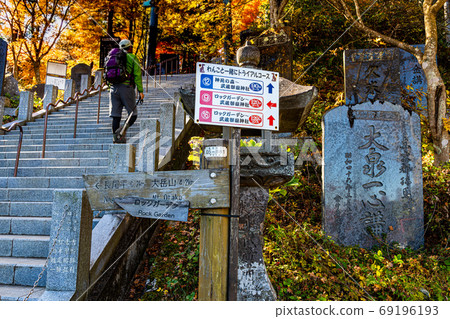 秋天的葉子，黃色的葉子，天空中的藍色，天空中的楓 69196193