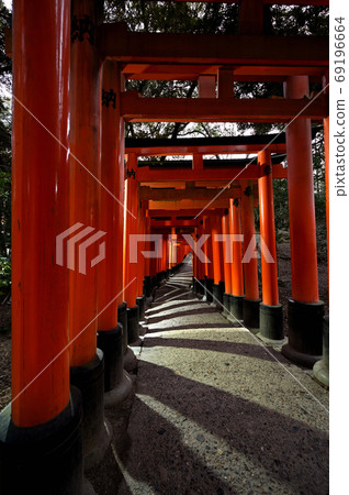 千本鳥居黎明前伏見稻荷大社 69196664