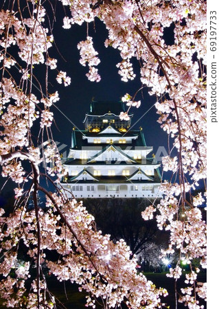 大阪城塔和盛開的櫻花大阪城公園大阪府大阪市 大阪城塔和盛開的櫻花大阪城公園大阪府大阪市 69197733
