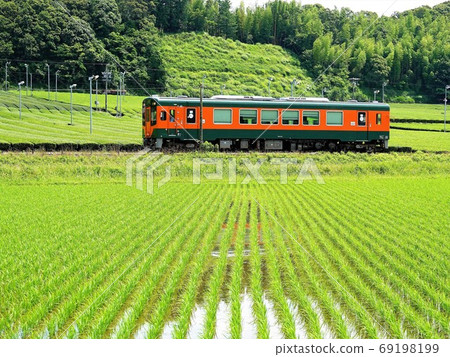 穿越稻田的am濱線 湘南色車 的風景 照片素材 圖片 圖庫