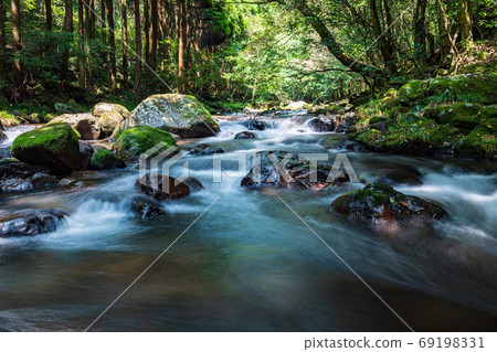 Seeking coolness in the river that flows through Kikuchi in midsummer Seeking coolness in the river that flows through Kikuchi in midsummer 69198331