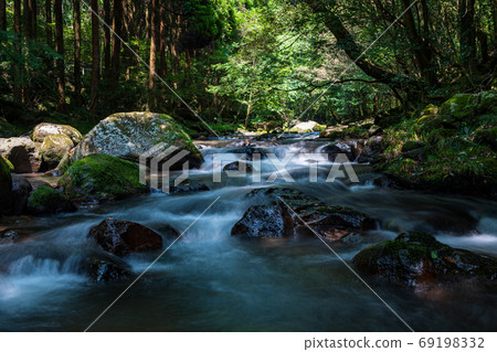 Seeking coolness in the river that flows through Kikuchi in midsummer Seeking coolness in the river that flows through Kikuchi in midsummer 69198332
