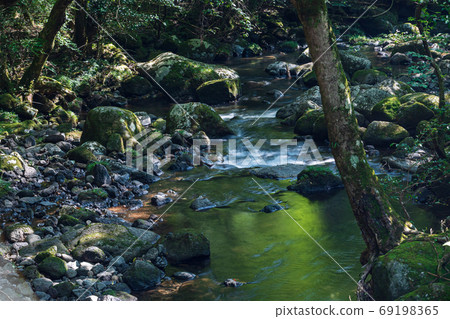 在仲夏流經菊池的河中尋求涼意 在仲夏流經菊池的河中尋求涼意 69198365