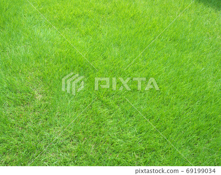 Before gardening 69199034