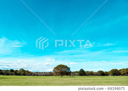 Autumn's blue sky Autumn's blue sky 69199075