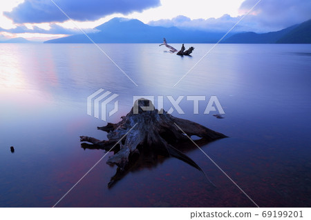 Hokkaido 2020 Summer Lake Shikotsu Stump Hokkaido 2020 Summer Lake Shikotsu Stump 69199201
