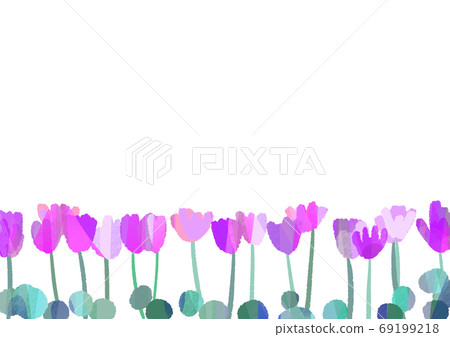 Refreshing frame of tulips 69199218