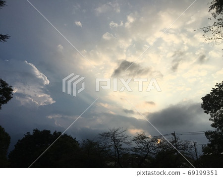 Sunset and clouds and trees silhouettes Sunset and clouds and trees silhouettes 69199351