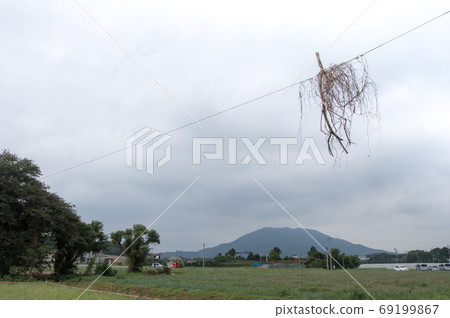 Typhoon flying objects entwined with electric wires 69199867