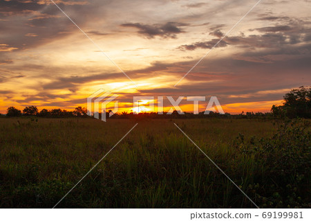 Kota Kinabalu 69199981