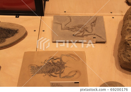 Genbudo Museum 69200176