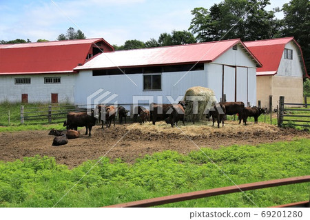 A landscape of a ranch 69201280