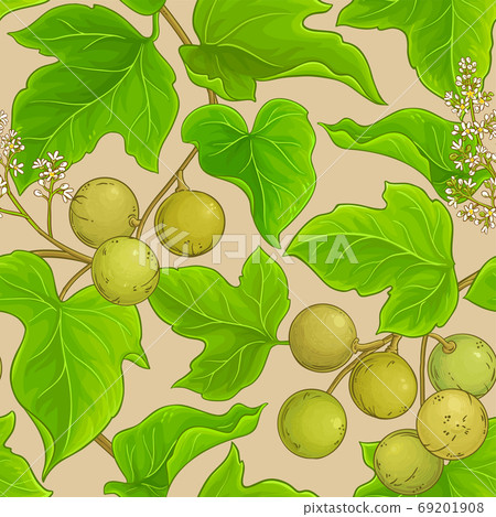 kukui vector pattern 69201908