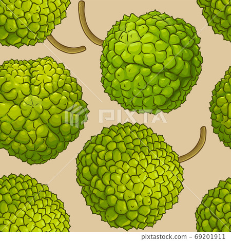 calodendrum vector pattern calodendrum vector pattern 69201911