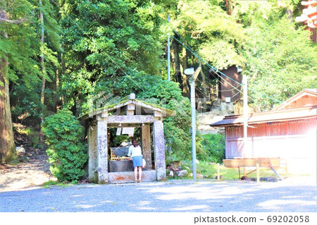 日吉泰莎 日吉泰莎 69202058