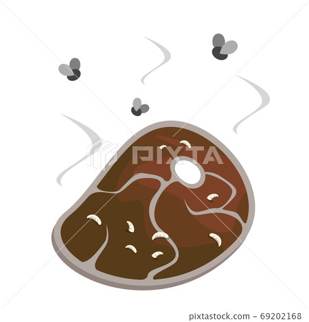 Meat steak becomes rottens. Dirty raw meat Meat steak becomes rottens. Dirty raw meat 69202168