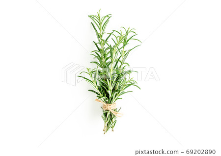 Green bundle of rosemary isolated on a white background. Herbs. Flat lay. Top view Green bundle of rosemary isolated on a white background. Herbs. Flat lay. Top view 69202890